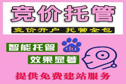 探索SEM托管公司的成功之路：以数据驱动营销